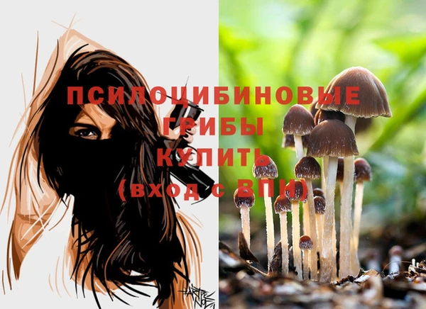 mdpv Новый Уренгой