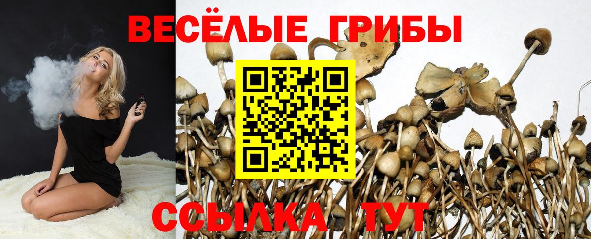 Галлюциногенные грибы Magic Shrooms  Вход с VPN  Балаково 